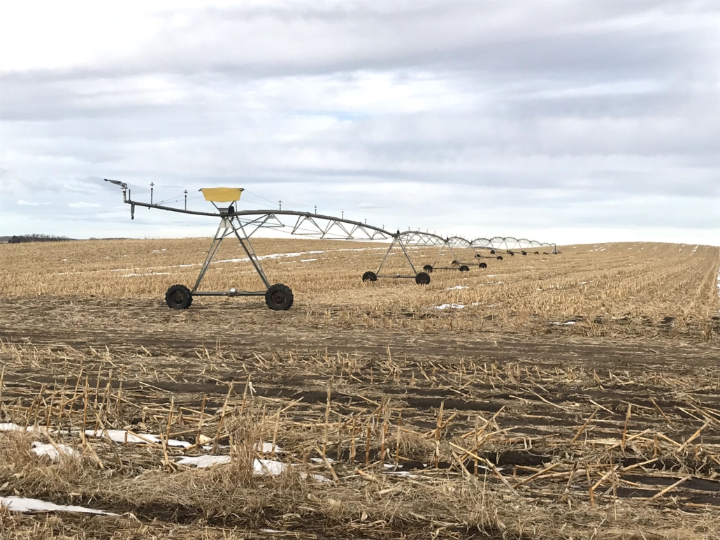 Custer County, NE