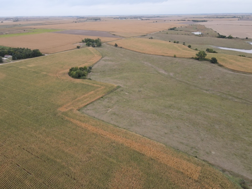 Webster County, NE