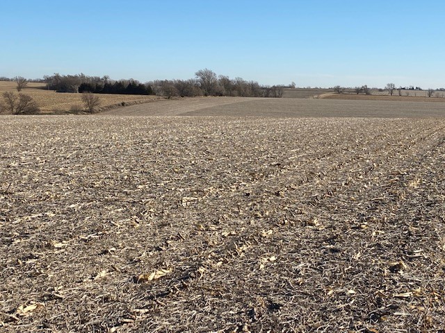 Saunders County, NE