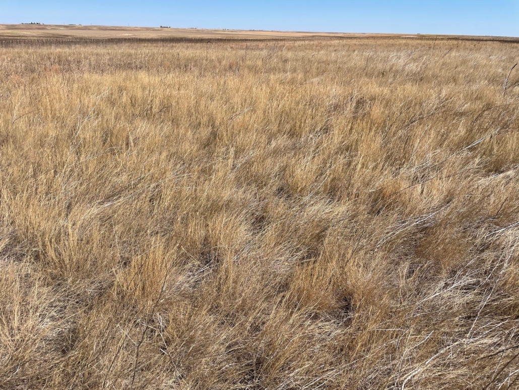 Banner County, NE