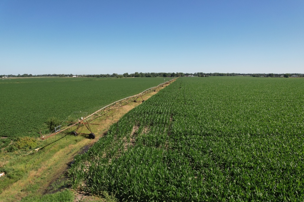 Merrick County, NE