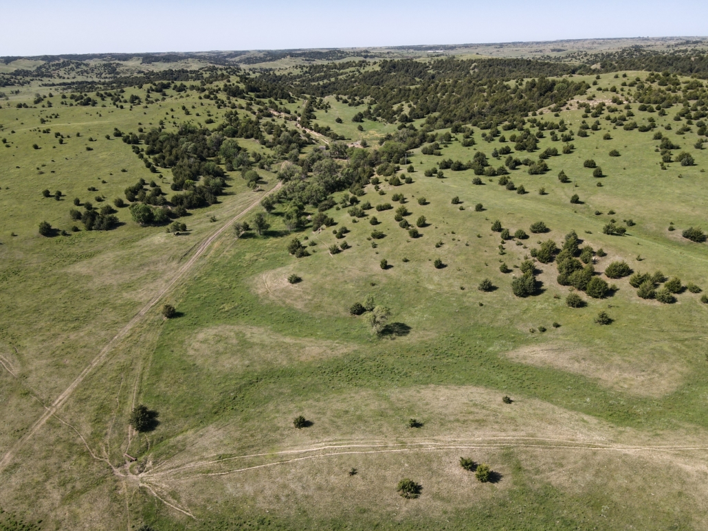 Custer County, NE