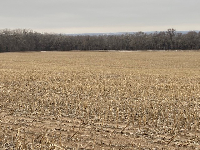 Madison County, NE