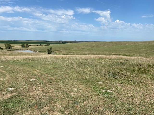 Cedar County, NE