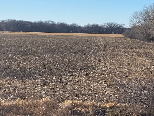 York County, NE