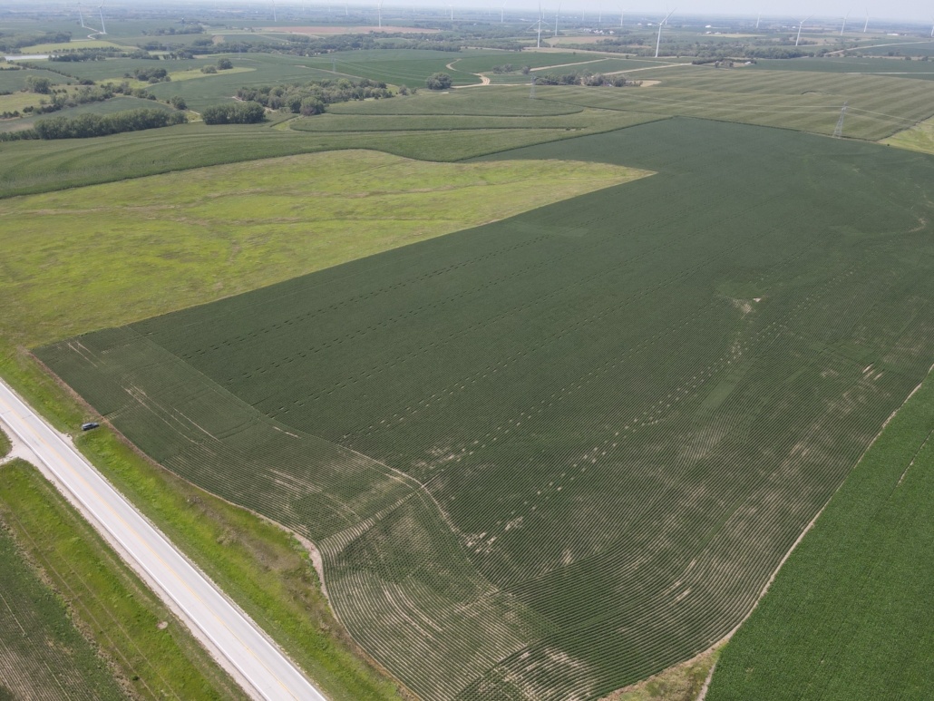 Saline County, NE