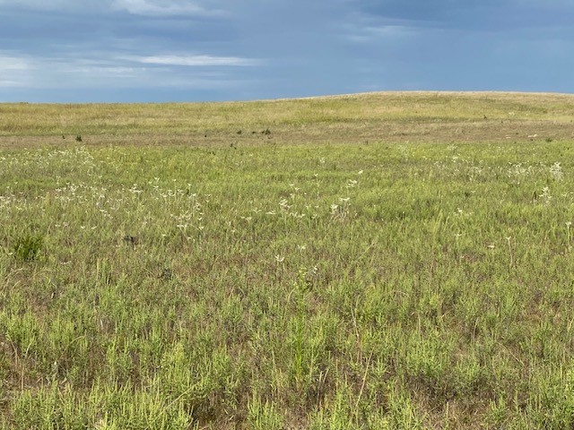 Pierce County, NE