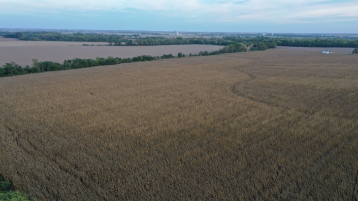 Burg farm looking SE
